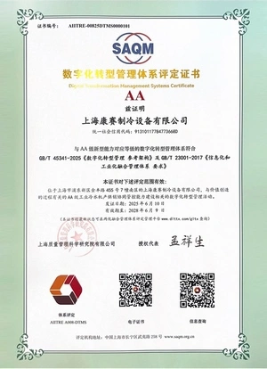 Digital Transformation Management System Certification